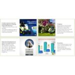 Autoportée Etesia M2E Bahia Electric – Image 3